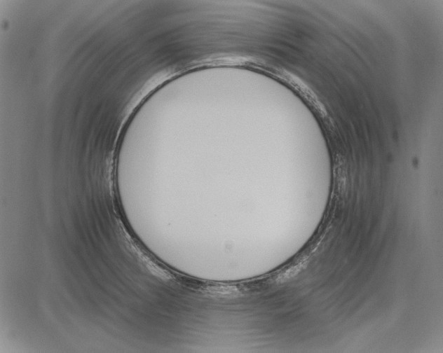 X0000081631186200702121657