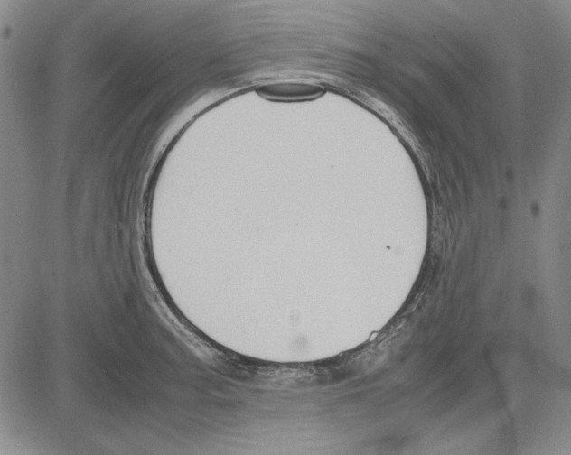 X0000081631187200702121657