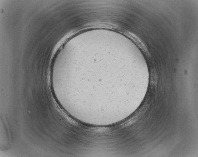 X0000081631188200702121657