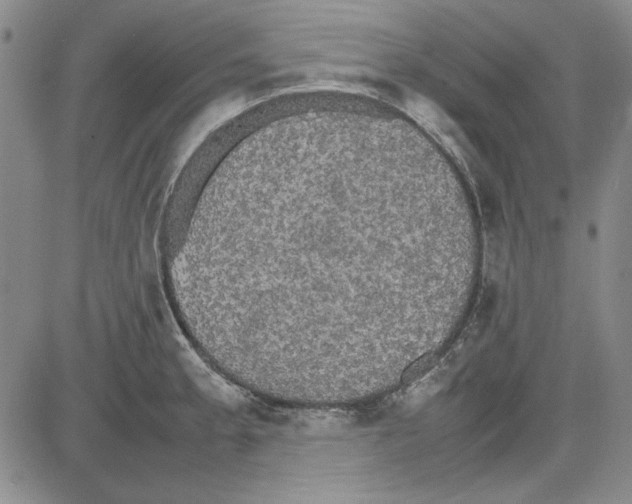 X0000081631189200702121657