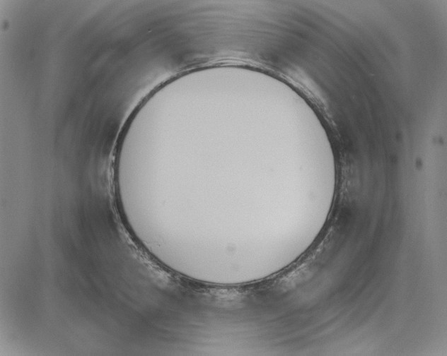 X0000081631190200702121657