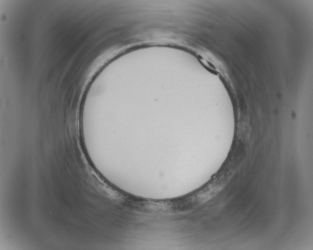 X0000081631191200702121657