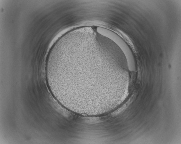 X0000081631192200702121657