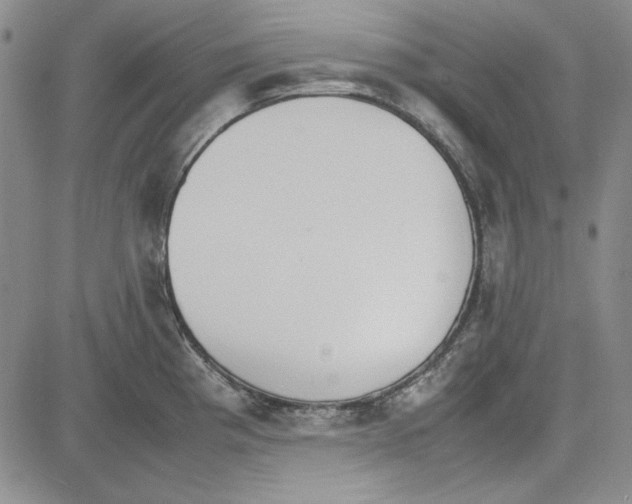 X0000081631193200702121657