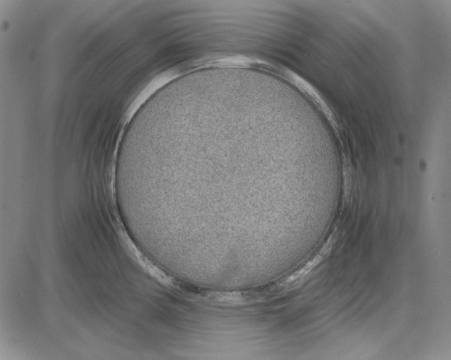 X0000081631194200702121657