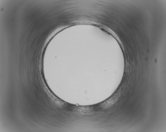 X0000081631195200702121657