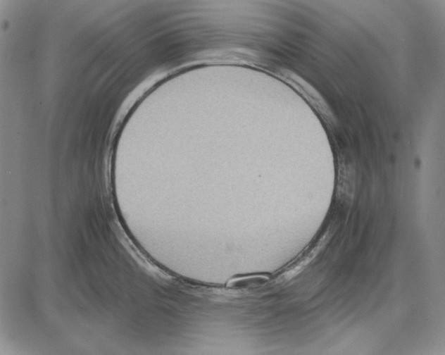 X0000081631196200702121657