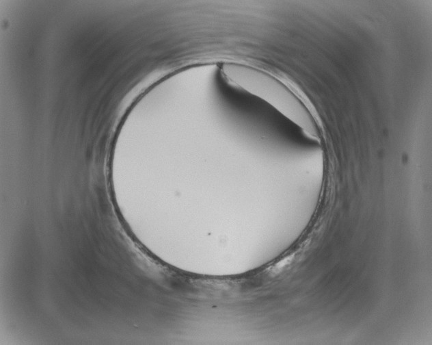 X0000081631197200702121657