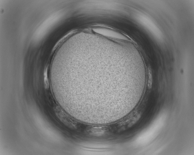 X0000081631198200702121657