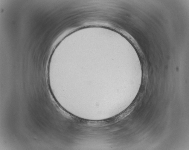 X0000081631199200702121657