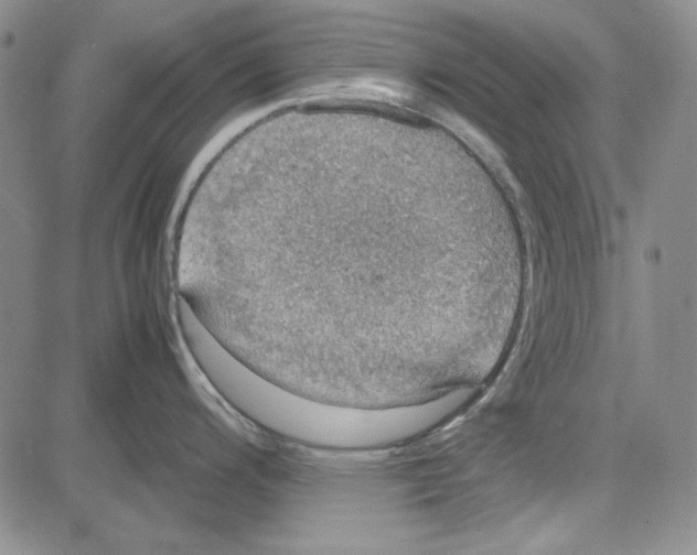 X0000081631200200702121657