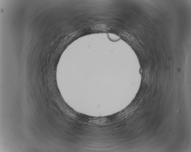 X0000081631201200702121656