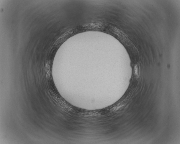 X0000081631203200702121656