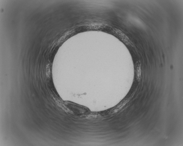 X0000081631204200702121656