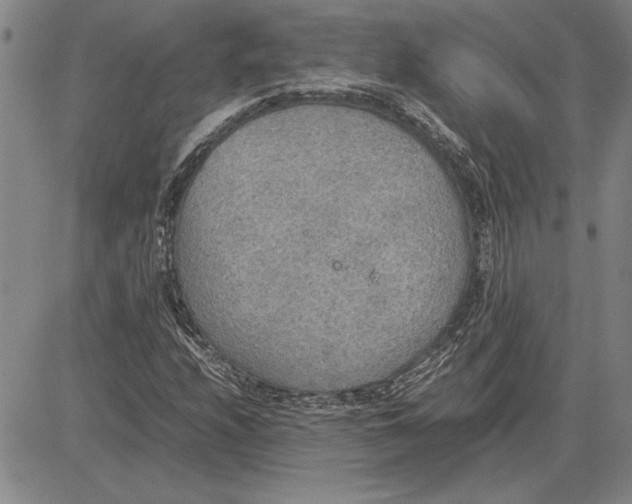 X0000081631208200702121656