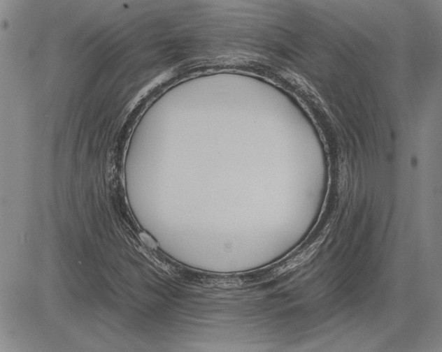 X0000081631210200702121656