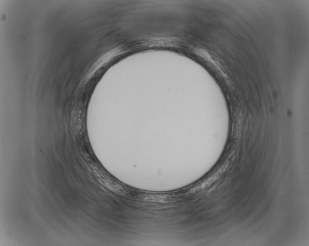 X0000081631211200702121656