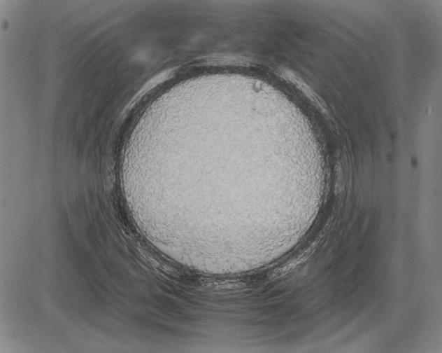 X0000081631213200702121656