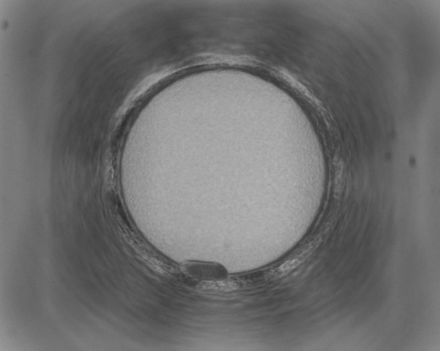 X0000081631215200702121656