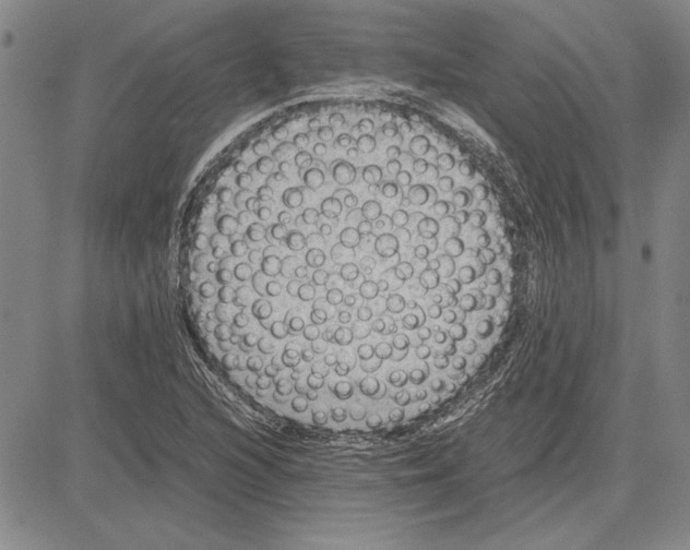 X0000081631216200702121656