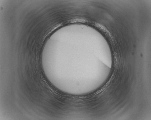 X0000081631217200702121656