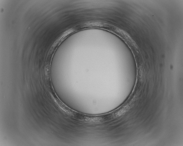 X0000081631225200702121656