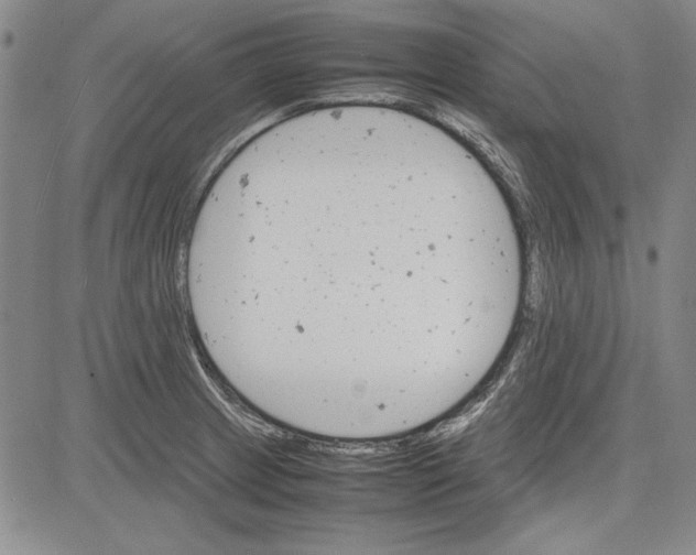 X0000081631233200702121656