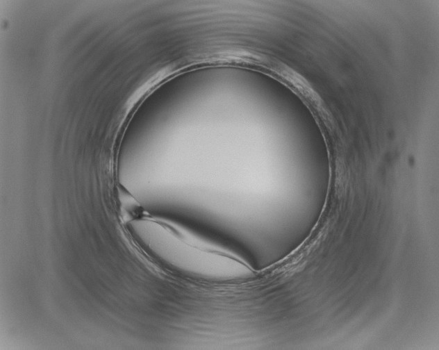 X0000081631234200702121656