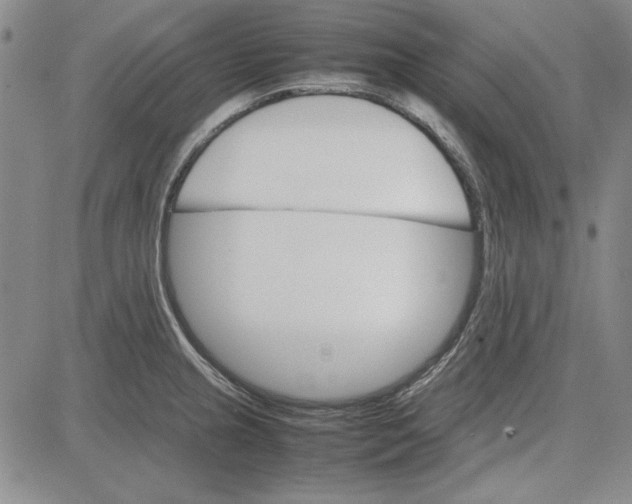 X0000081631237200702121656