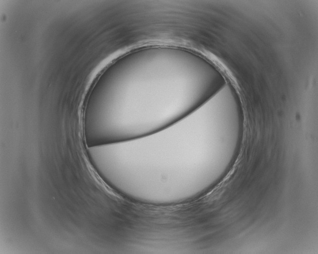 X0000081631238200702121657