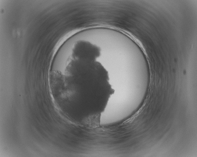 X0000081631239200702121657