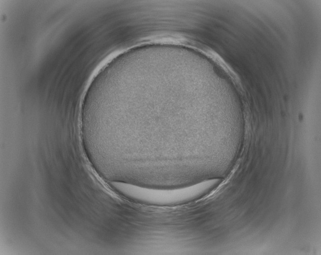 X0000081631240200702121657