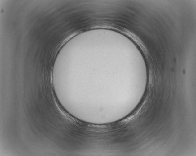 X0000081631241200702121657