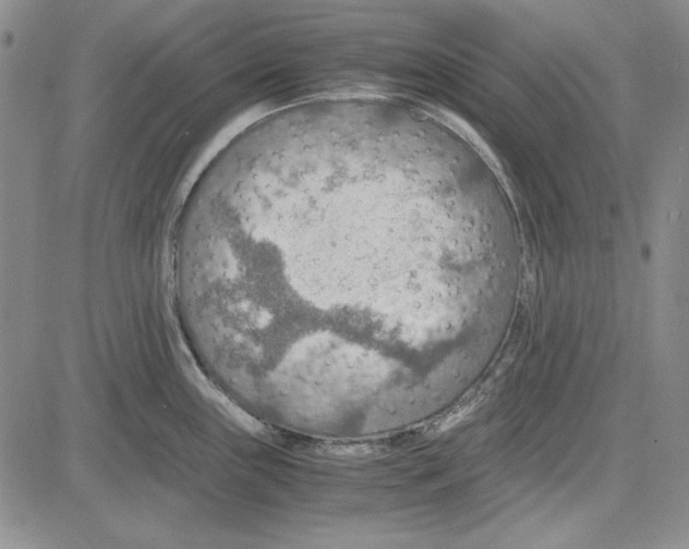 X0000081631243200702121657