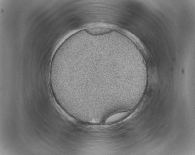 X0000081631244200702121657