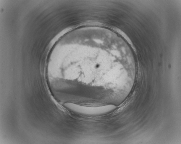 X0000081631245200702121657