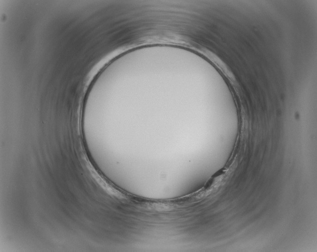 X0000081631246200702121657