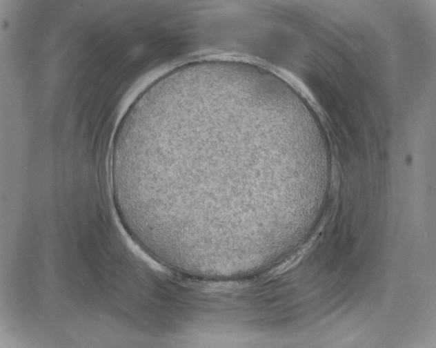 X0000081631247200702121657