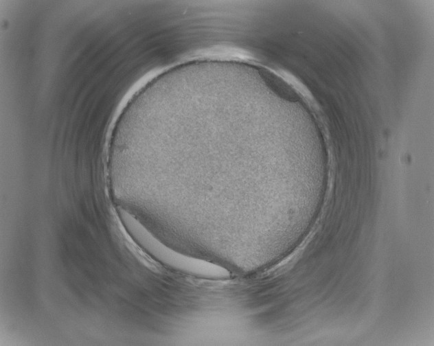 X0000081631248200702121657