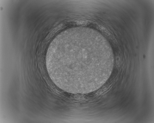 X0000081631249200702121656