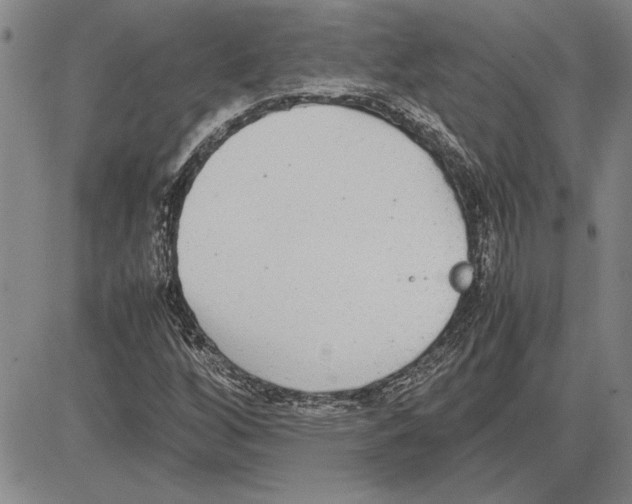 X0000081631256200702121656