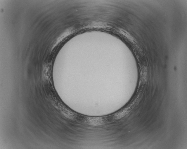 X0000081631258200702121656