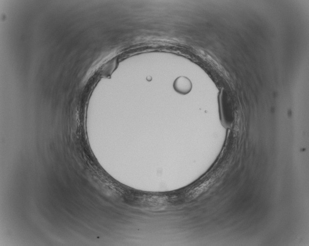 X0000081631261200702121656