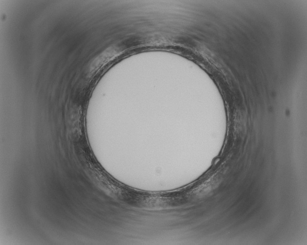 X0000081631265200702121656