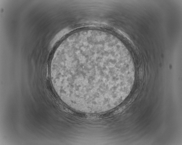 X0000081631267200702121656