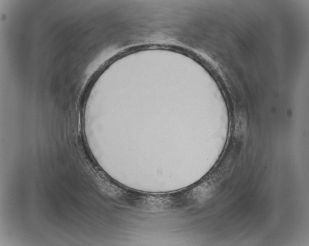 X0000081631271200702121656