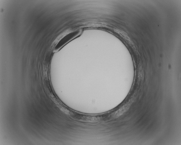 X0000081631273200702121655