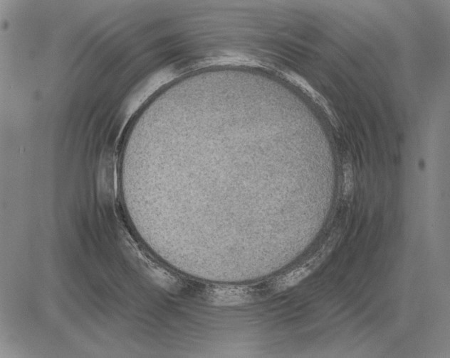 X0000081631274200702121655