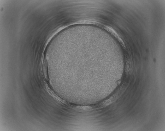 X0000081631276200702121655