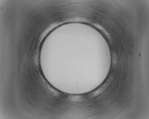 X0000081631278200702121655